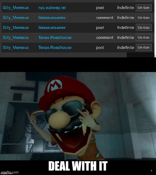 image tagged in smg4 mario deal with it | made w/ Imgflip meme maker