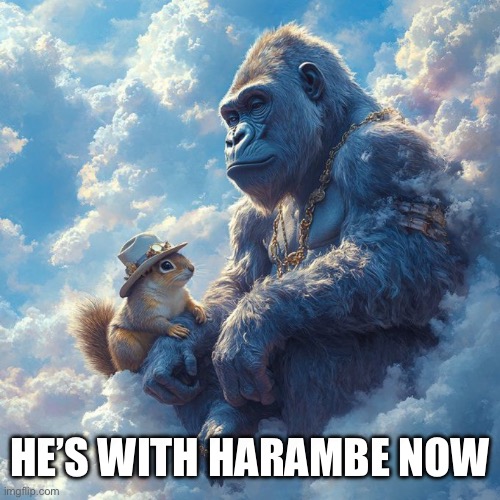 Harambe Pnut | HE’S WITH HARAMBE NOW | image tagged in harambe pnut | made w/ Imgflip meme maker