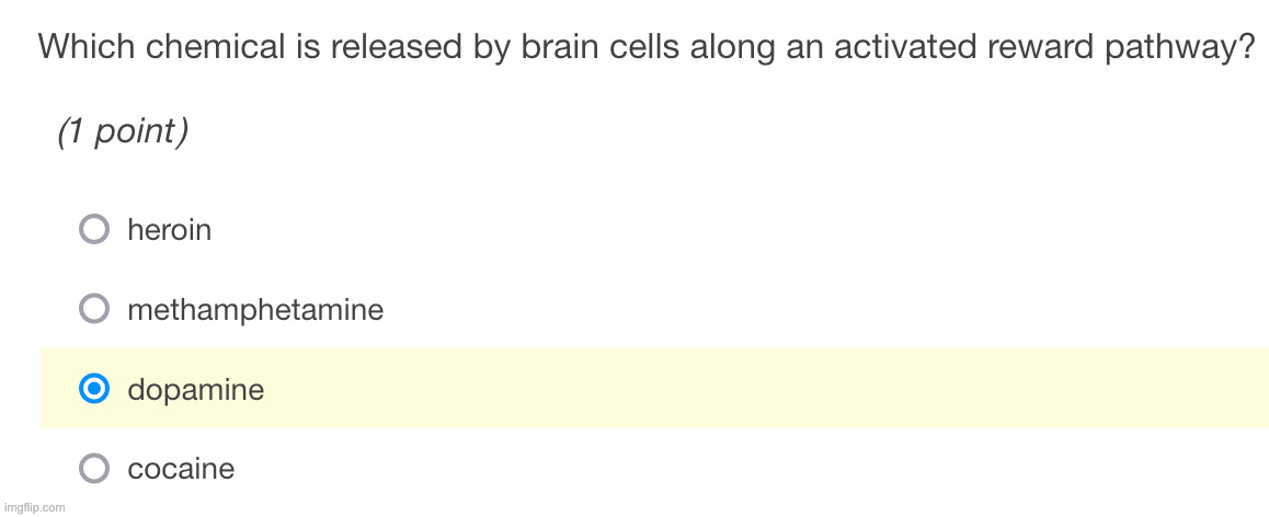 can my health & wellness lesson try to be a bit harder lmfao I literally never even have to read the lesson since it's so easy | made w/ Imgflip meme maker