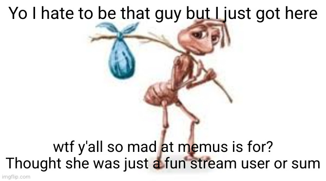 Homeless ant | Yo I hate to be that guy but I just got here; wtf y'all so mad at memus is for? Thought she was just a fun stream user or sum | image tagged in homeless ant | made w/ Imgflip meme maker