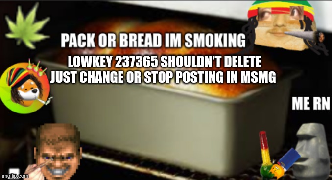 bread high | LOWKEY 237365 SHOULDN'T DELETE JUST CHANGE OR STOP POSTING IN MSMG | image tagged in bread high | made w/ Imgflip meme maker