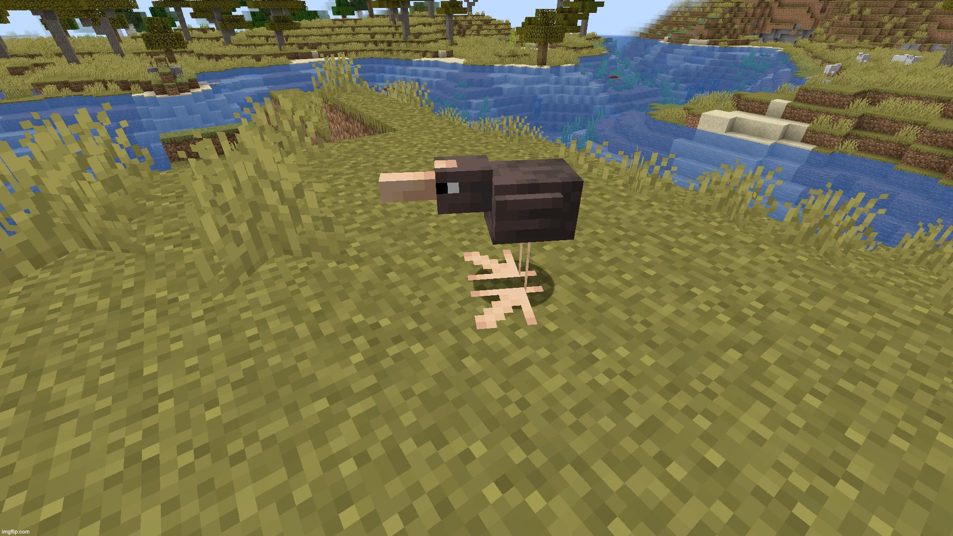 The new chicken variant in Minecraft is looking sick | made w/ Imgflip meme maker