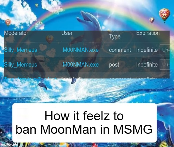 How it feels to X | How it feelz to ban MoonMan in MSMG | image tagged in how it feels to x | made w/ Imgflip meme maker