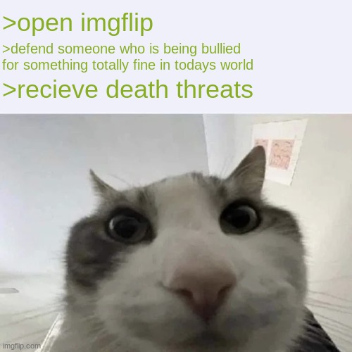 happened to me too many times | >open imgflip; >defend someone who is being bullied for something totally fine in todays world; >recieve death threats | image tagged in green text cat | made w/ Imgflip meme maker