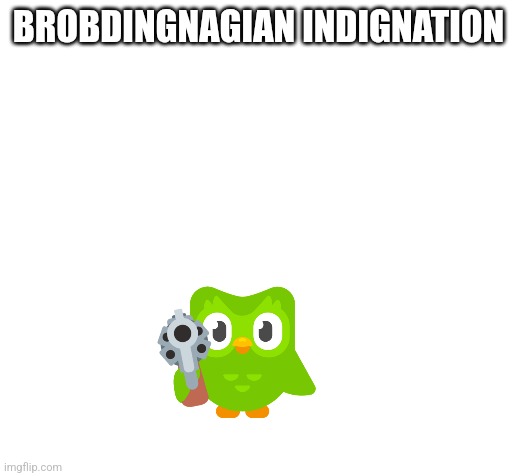 Blank | BROBDINGNAGIAN INDIGNATION | image tagged in blank | made w/ Imgflip meme maker