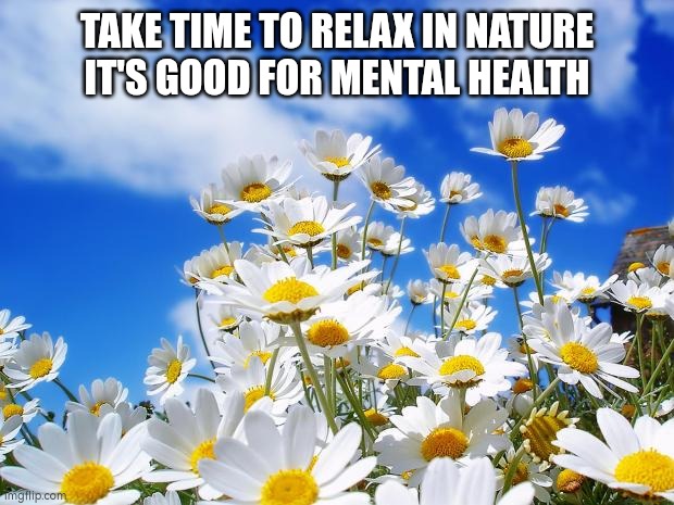 spring daisy flowers | TAKE TIME TO RELAX IN NATURE
IT'S GOOD FOR MENTAL HEALTH | image tagged in spring daisy flowers | made w/ Imgflip meme maker