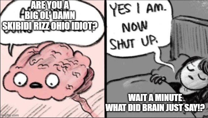 My brain just rizzed me | ARE YOU A BIG OL' DAMN SKIBIDI RIZZ OHIO IDIOT? WAIT A MINUTE WHAT DID BRAIN JUST SAY!? | image tagged in brain before sleep | made w/ Imgflip meme maker