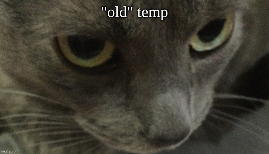 Sweetie | "old" temp | image tagged in sweetie | made w/ Imgflip meme maker