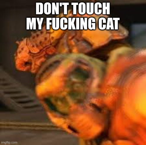 DON'T TOUCH MY FUCKING CAT | made w/ Imgflip meme maker