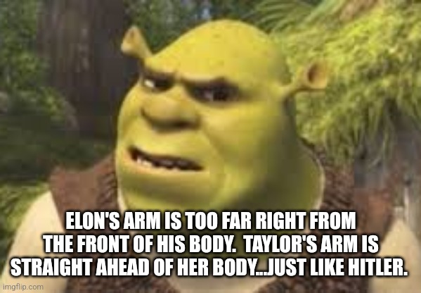 Confused shrek | ELON'S ARM IS TOO FAR RIGHT FROM THE FRONT OF HIS BODY.  TAYLOR'S ARM IS STRAIGHT AHEAD OF HER BODY...JUST LIKE HITLER. | image tagged in confused shrek | made w/ Imgflip meme maker