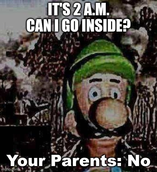 GO OUTSIDE 3 | IT'S 2 A.M. CAN I GO INSIDE? Your Parents: No | image tagged in luigi yard stare,luigi | made w/ Imgflip meme maker