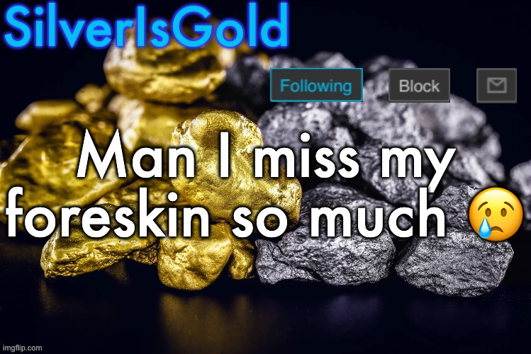 Silver’s Nostalgia Template | Man I miss my foreskin so much 😢 | image tagged in silver s nostalgia template | made w/ Imgflip meme maker