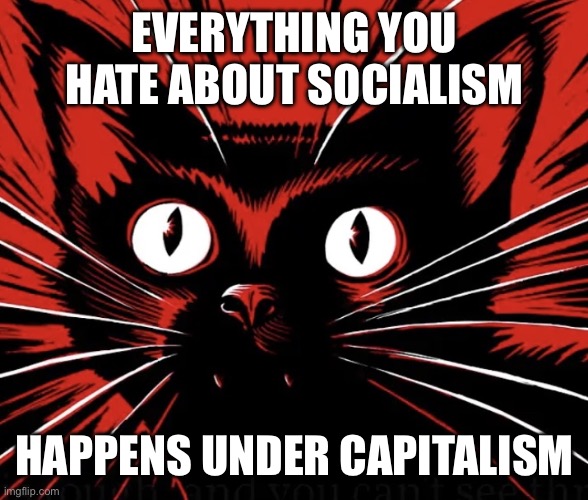 Sabo tabby cat | EVERYTHING YOU HATE ABOUT SOCIALISM; HAPPENS UNDER CAPITALISM | image tagged in sabo tabby cat | made w/ Imgflip meme maker