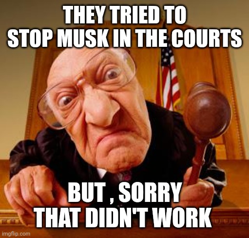 Mean Judge | THEY TRIED TO STOP MUSK IN THE COURTS BUT , SORRY THAT DIDN'T WORK | image tagged in mean judge | made w/ Imgflip meme maker