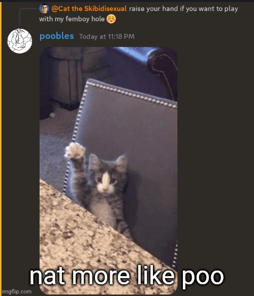 her server sucks lol leave it :3c | nat more like poo | image tagged in freak mode activated | made w/ Imgflip meme maker