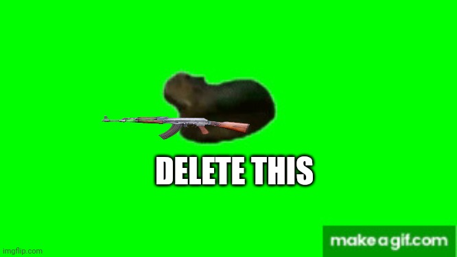 oiiaoiia | DELETE THIS | image tagged in oiiaoiia | made w/ Imgflip meme maker