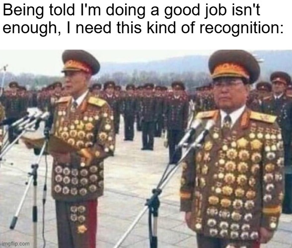 North korean medals | Being told I'm doing a good job isn't enough, I need this kind of recognition: | image tagged in north korean medals | made w/ Imgflip meme maker