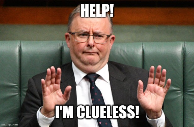 Anthony Albanese | HELP! I'M CLUELESS! | image tagged in anthony albanese | made w/ Imgflip meme maker