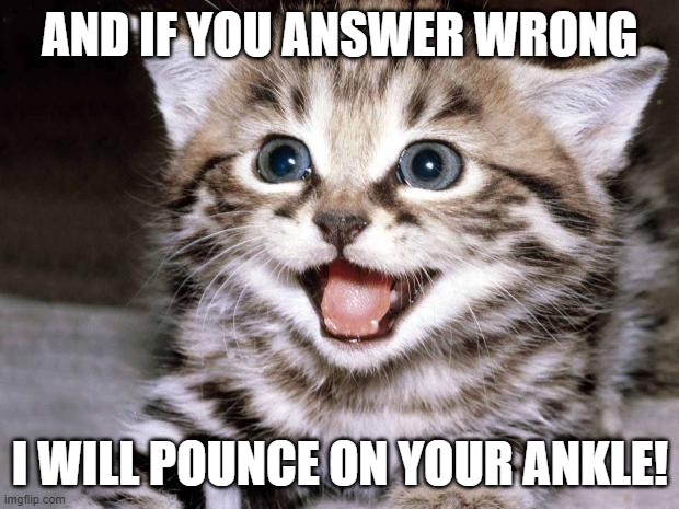 Uber Cute Cat | AND IF YOU ANSWER WRONG I WILL POUNCE ON YOUR ANKLE! | image tagged in uber cute cat | made w/ Imgflip meme maker