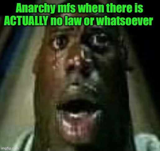 terror | Anarchy mfs when there is ACTUALLY no law or whatsoever | image tagged in terror | made w/ Imgflip meme maker