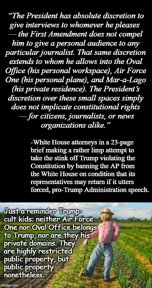 Y'all have degrees in Law, right? Maybe try acting like it? | “The President has absolute discretion to
give interviews to whomever he pleases 
— the First Amendment does not compel
him to give a personal audience to any
particular journalist. That same discretion
extends to whom he allows into the Oval
Office (his personal workspace), Air Force
One (his personal plane), and Mar-a-Lago
(his private residence). The President’s
discretion over these small spaces simply
does not implicate constitutional rights
 — for citizens, journalists, or news
organizations alike.”; -White House attorneys in a 23-page
brief making a rather limp attempt to
take the stink off Trump violating the
Constitution by banning the AP from
the White House on condition that its
representatives may return if it utters
forced, pro-Trump Administration speech. Just a reminder Trump-
cult kids: neither Air Force
One nor Oval Office belongs
to Trump, nor are they his
private domains. They
are highly restricted
public property, but
public property
nonetheless. | image tagged in lawyers,liar liar pants on fire,trump unfit unqualified dangerous | made w/ Imgflip meme maker