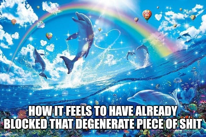 Happy dolphin rainbow | HOW IT FEELS TO HAVE ALREADY BLOCKED THAT DEGENERATE PIECE OF SHIT | image tagged in happy dolphin rainbow | made w/ Imgflip meme maker