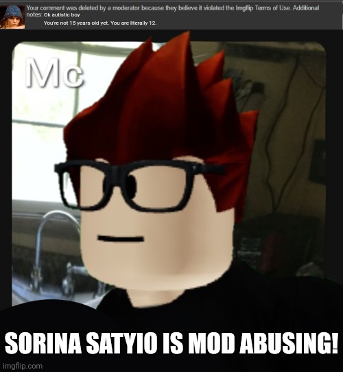 MC was on Flipper just to see a Sorina Satyio post so he raided it. And guess what? Sorina deleted his comment! 100% mod abuse. | Ok autistic boy
You're not 15 years old yet. You are literally 12. SORINA SATYIO IS MOD ABUSING! | image tagged in your comment was unfairly deleted,mc pfp,mc,sorina satyio,flipper,mod abuse | made w/ Imgflip meme maker