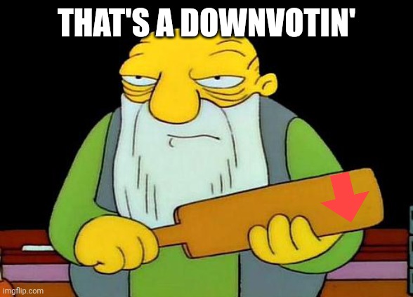 That's a paddlin' Meme | THAT'S A DOWNVOTIN' | image tagged in memes,that's a paddlin' | made w/ Imgflip meme maker