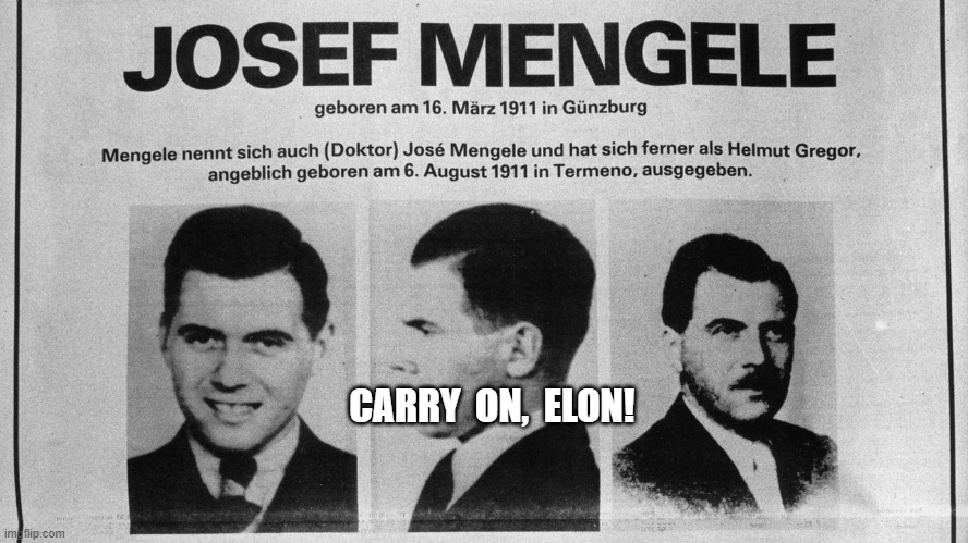 Fellow Nazis in Operation | CARRY  ON,  ELON! | image tagged in nazis | made w/ Imgflip meme maker