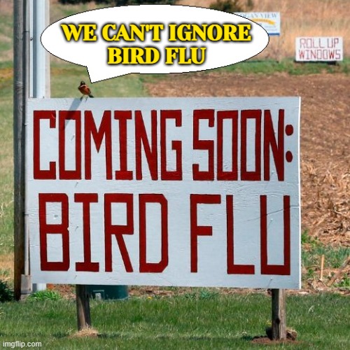 INFECTIOUS DISEASE | WE CAN'T IGNORE
BIRD FLU | image tagged in bird flu bird,chicken,meat,breaking news,disease,chickens | made w/ Imgflip meme maker