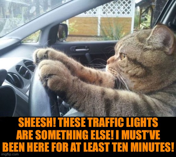 Come on, he doesn’t have all day to wait! | SHEESH! THESE TRAFFIC LIGHTS ARE SOMETHING ELSE! I MUST’VE BEEN HERE FOR AT LEAST TEN MINUTES! | image tagged in cats | made w/ Imgflip meme maker