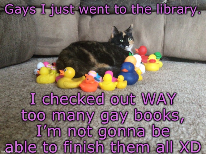 Did you know there’s a book called girls like girls written by the person who sings the song? | Gays I just went to the library. I checked out WAY too many gay books, I’m not gonna be able to finish them all XD | image tagged in star s template | made w/ Imgflip meme maker