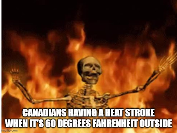 CANADIANS HAVING A HEAT STROKE WHEN IT'S 60 DEGREES FAHRENHEIT OUTSIDE | image tagged in relatable | made w/ Imgflip meme maker