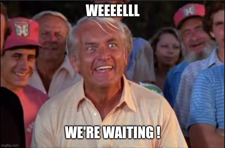 Well we're waiting | WEEEELLL WE'RE WAITING ! | image tagged in well we're waiting | made w/ Imgflip meme maker