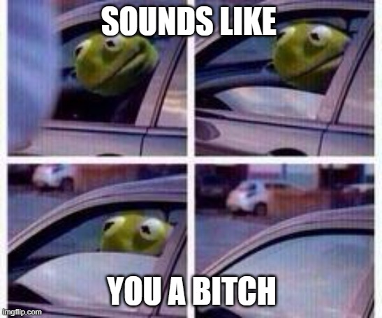 You a bitch | SOUNDS LIKE; YOU A BITCH | image tagged in kermit rolls up window | made w/ Imgflip meme maker