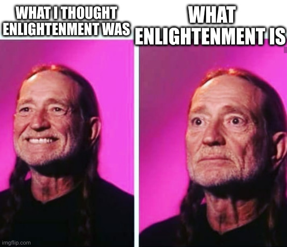 are you that i am? | WHAT ENLIGHTENMENT IS; WHAT I THOUGHT ENLIGHTENMENT WAS | image tagged in nondual,kek,lmao,bodhisattva | made w/ Imgflip meme maker