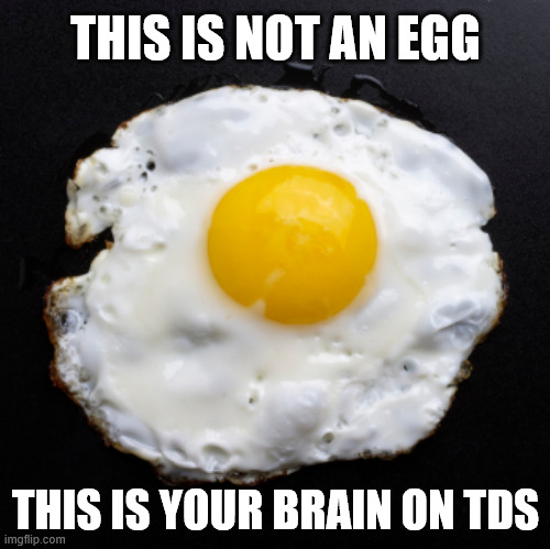 YOUR BRAIN ON TDS | THIS IS NOT AN EGG; THIS IS YOUR BRAIN ON TDS | image tagged in eggs,your brain on tds | made w/ Imgflip meme maker