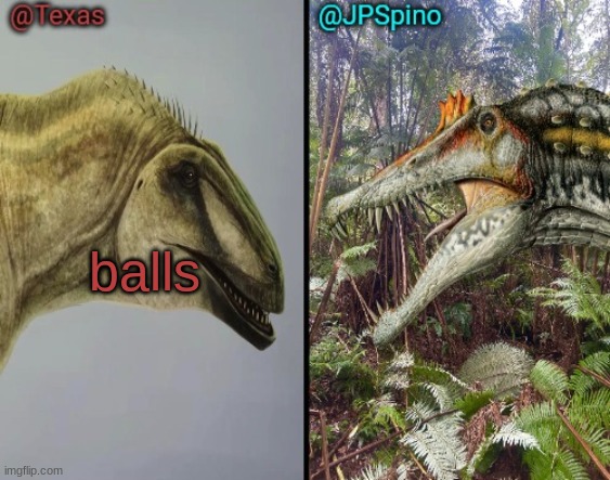 Texas and spino temp | balls | image tagged in texas and spino temp | made w/ Imgflip meme maker