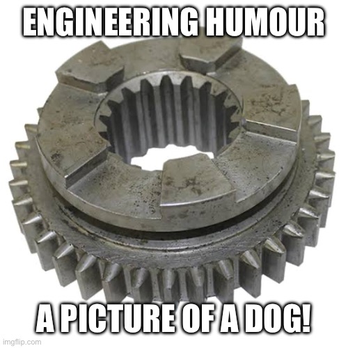 Engineering | ENGINEERING HUMOUR; A PICTURE OF A DOG! | image tagged in fun | made w/ Imgflip meme maker