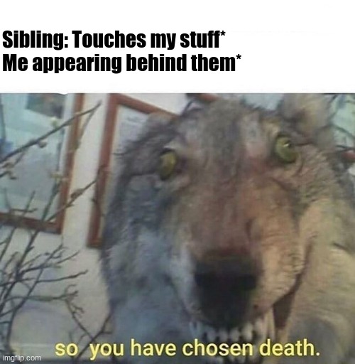 Big no no | Sibling: Touches my stuff*

Me appearing behind them* | image tagged in so you have chosen death | made w/ Imgflip meme maker