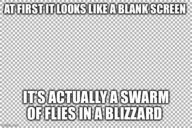 Fun | AT FIRST IT LOOKS LIKE A BLANK SCREEN; IT’S ACTUALLY A SWARM OF FLIES IN A BLIZZARD | image tagged in free | made w/ Imgflip meme maker