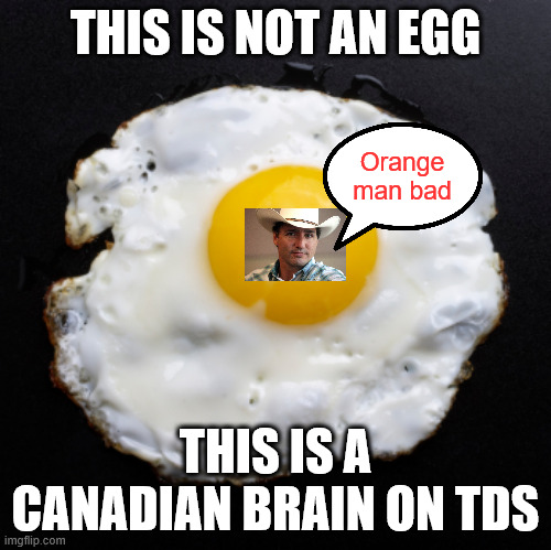 Their TDS shines with any criticism of their hero Trudeau | THIS IS NOT AN EGG THIS IS A CANADIAN BRAIN ON TDS Orange man bad | image tagged in eggs,justin trudeau,tds | made w/ Imgflip meme maker