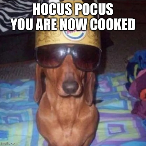 Fr | HOCUS POCUS YOU ARE NOW COOKED | image tagged in king dog | made w/ Imgflip meme maker