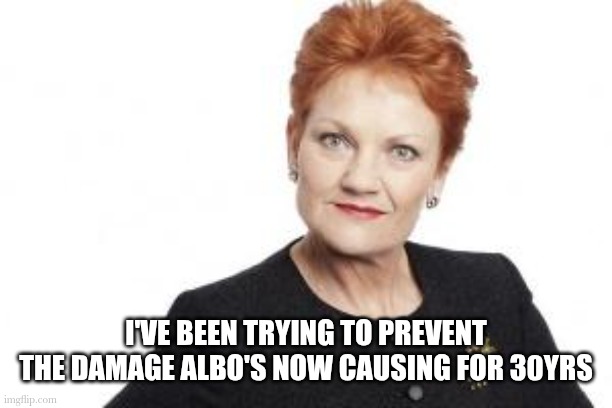 Pauline Hanson | I'VE BEEN TRYING TO PREVENT THE DAMAGE ALBO'S NOW CAUSING FOR 30YRS | image tagged in pauline hanson | made w/ Imgflip meme maker