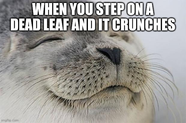 Yay crunch | WHEN YOU STEP ON A DEAD LEAF AND IT CRUNCHES | image tagged in memes,satisfied seal,crunch,leaves | made w/ Imgflip meme maker