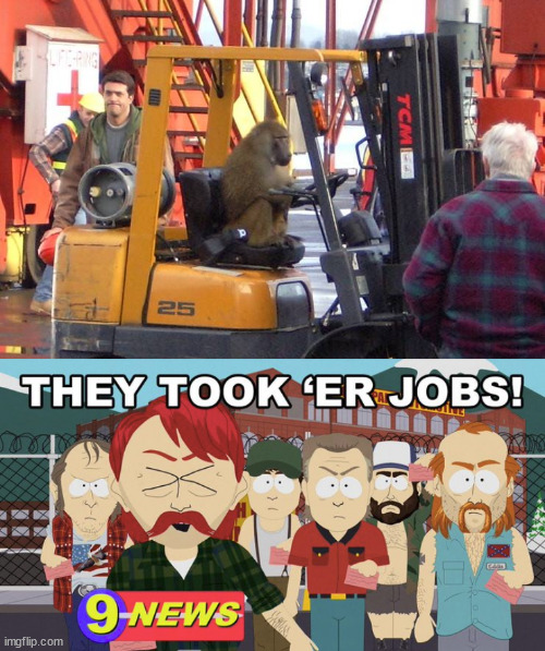 So easy, even... | image tagged in forklift,wait that's illegal,illegal aliens,they took our jobs,south park,chimpanzee | made w/ Imgflip meme maker