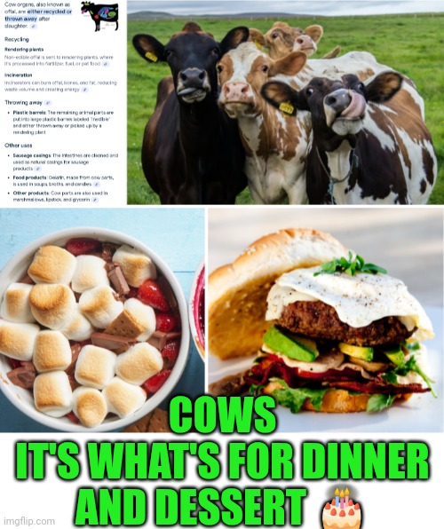 Funny | COWS
IT'S WHAT'S FOR DINNER AND DESSERT 🎂 | image tagged in funny,cows,dinner,dessert,yummy,food | made w/ Imgflip meme maker