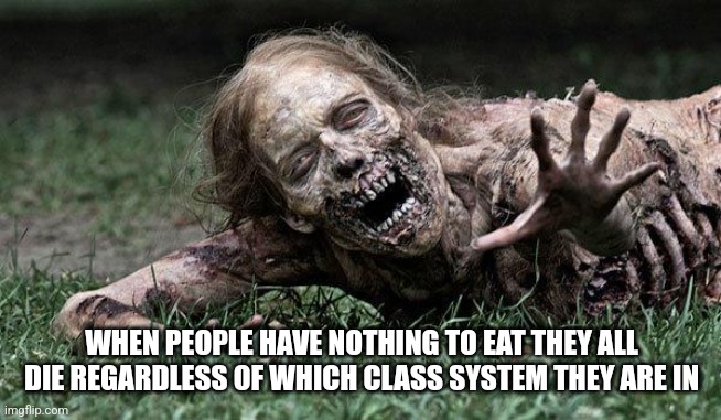 Walking Dead Zombie | WHEN PEOPLE HAVE NOTHING TO EAT THEY ALL DIE REGARDLESS OF WHICH CLASS SYSTEM THEY ARE IN | image tagged in walking dead zombie | made w/ Imgflip meme maker
