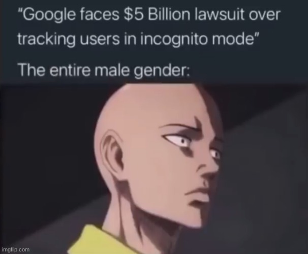 image tagged in one punch man,saitama | made w/ Imgflip meme maker