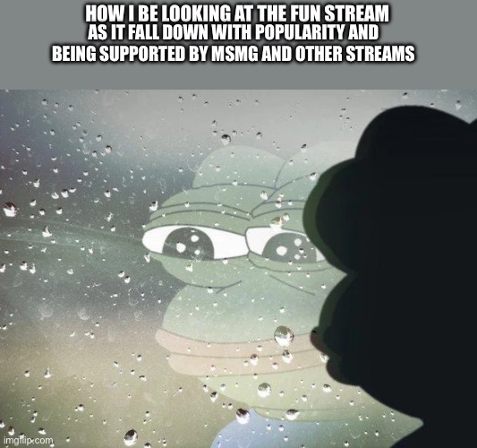 There goes the Fun stream | HOW I BE LOOKING AT THE FUN STREAM; AS IT FALL DOWN WITH POPULARITY AND BEING SUPPORTED BY MSMG AND OTHER STREAMS | image tagged in pepe staring out the window | made w/ Imgflip meme maker